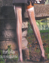 Trasparenze Farfalla Hold Ups